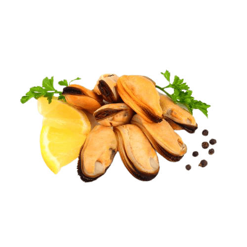 blue_mussel_meat-admin-removebg-preview