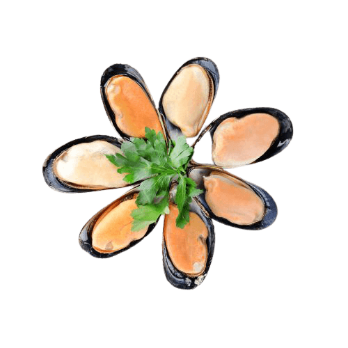 half_shell_mussel-admin-removebg-preview