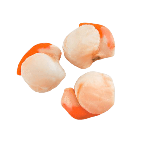 Frozen scallop meat with roe