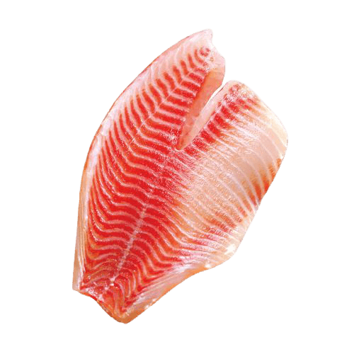 tilapia_fillet-admin-removebg-preview